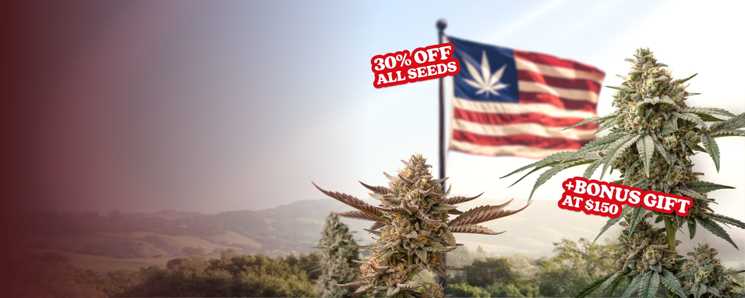 Memorial Day Weeknd Banner - Mobile