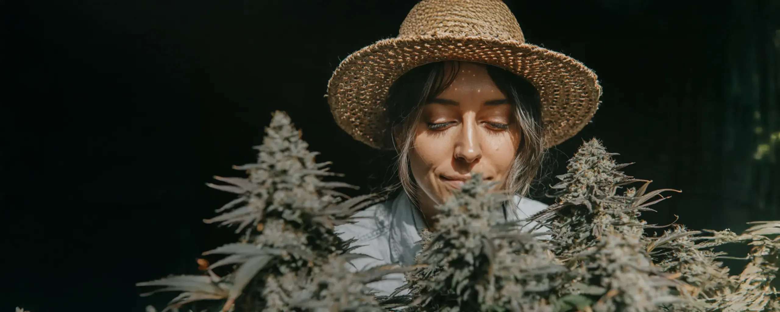 Woman in a straw hat examines tall, leafy plants with a focused expression against a dark background.