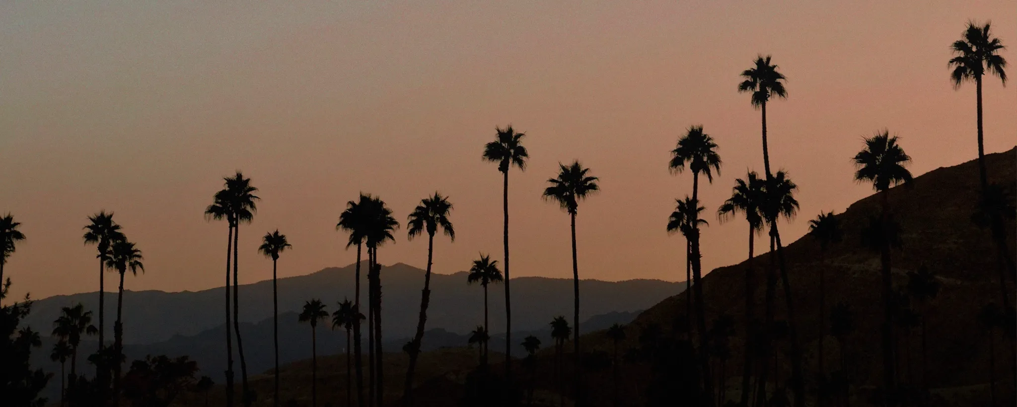 Palm Springs - Desktop