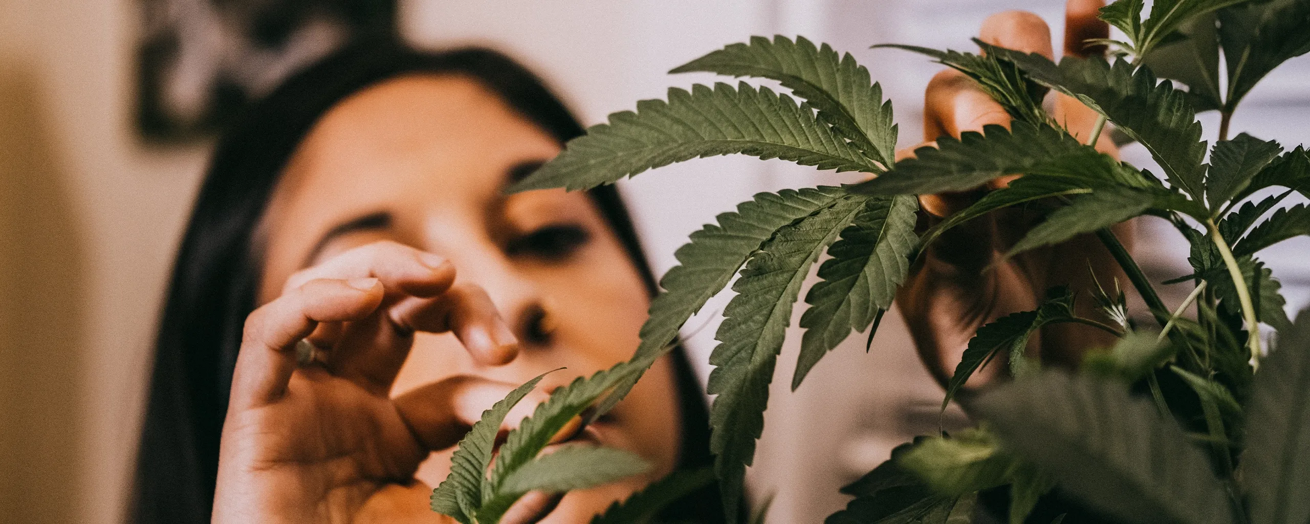 Woman checking plant - desktop