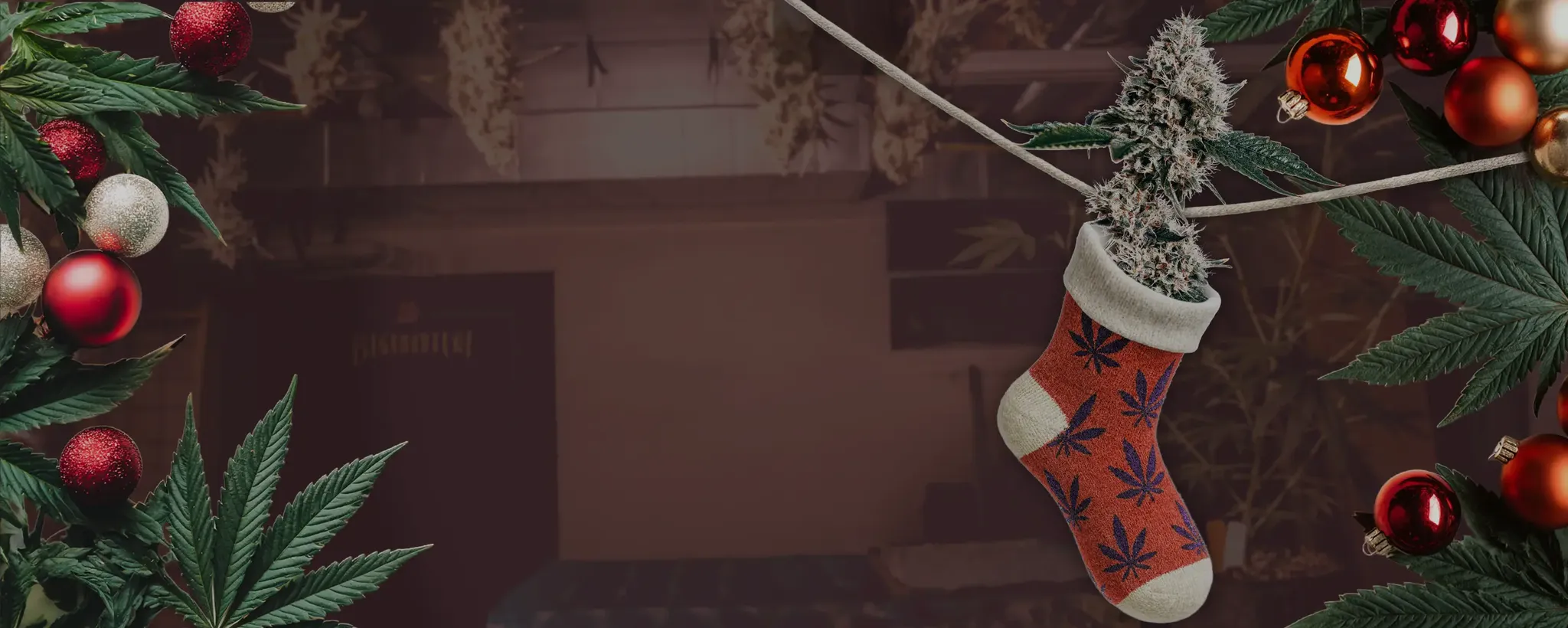 Christmas stocking with cannabis-leaf pattern holding a large cannabis bud, framed by marijuana leaves and red Christmas baubles.