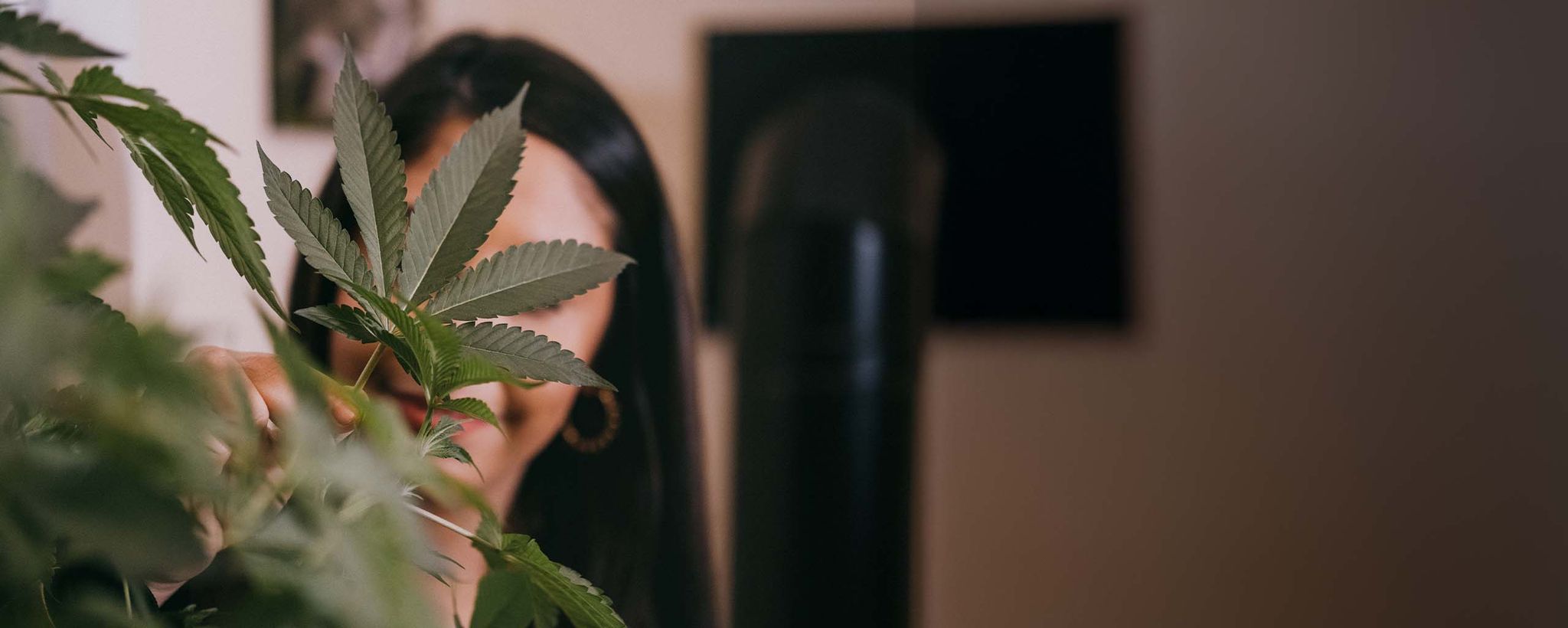 Cannabis Grow Workshop