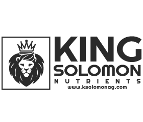 Logo of King Solomon Nutrients featuring a crowned lion head in a square, with the company name and website URL below.