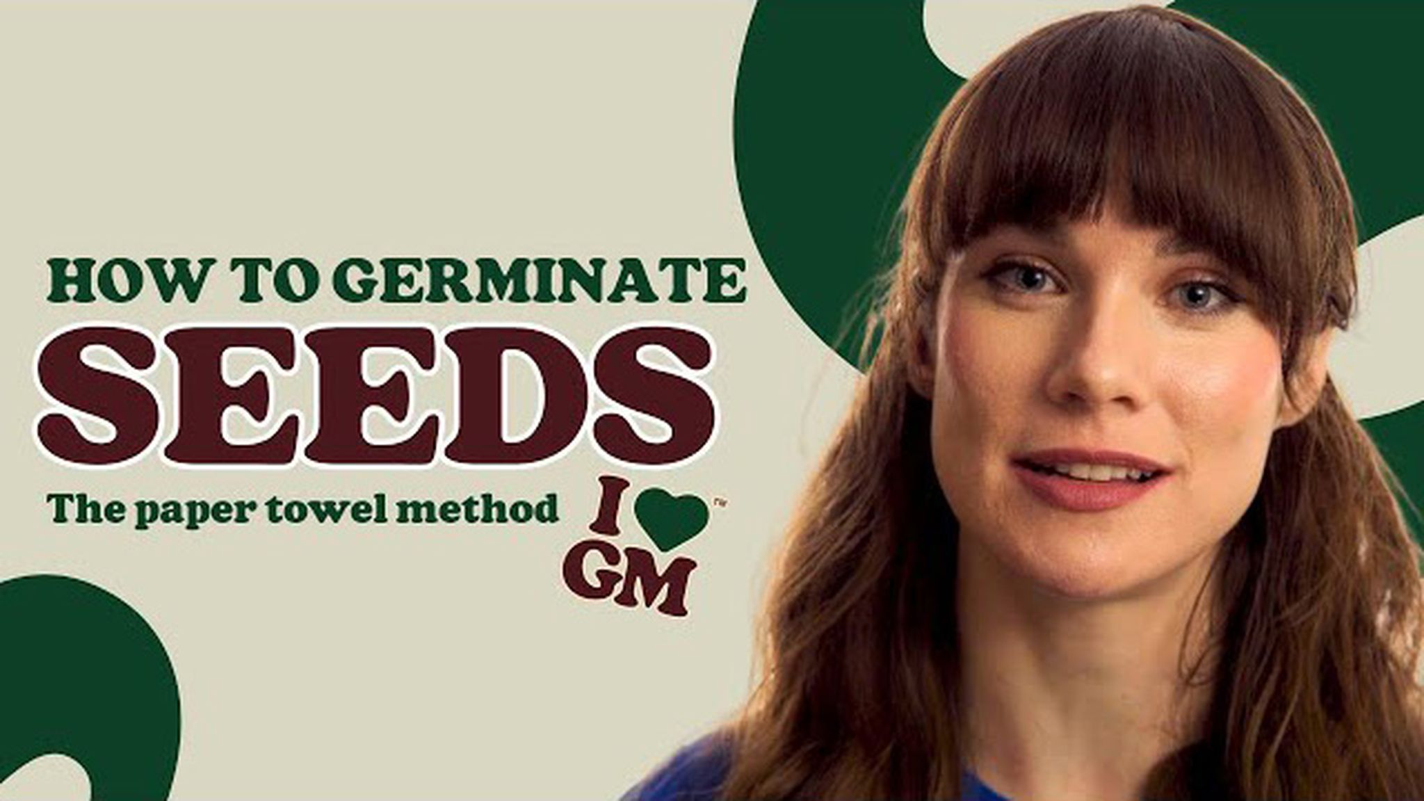 Beginner Cannabis Seed Germination Video