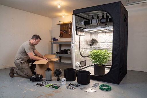A Complete 2026 Guide to Growing Weed Indoors