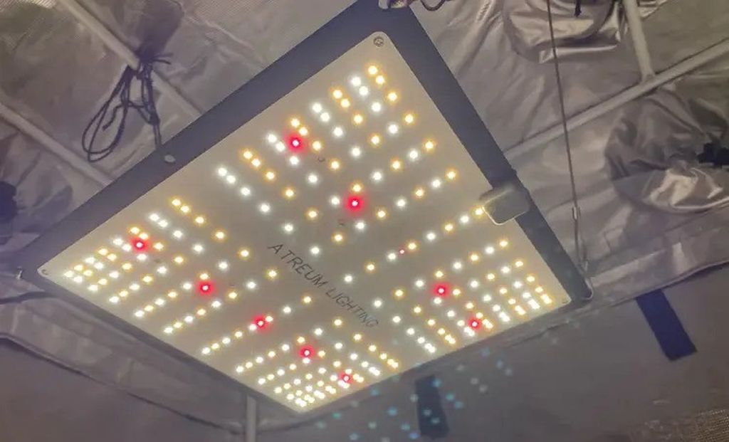 Best Budget LED Grow Light
