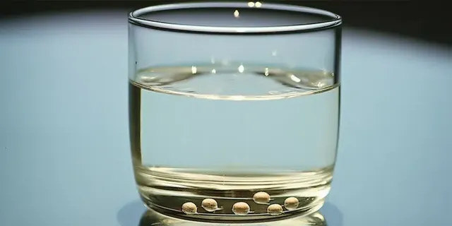 Cannabis seeds soaking in water, preparing for the germination process to begin. A glass of water with cannabis seeds floating, ready to begin germinating by soaking overnight for better sprouting.