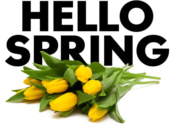 Hello Spring!
