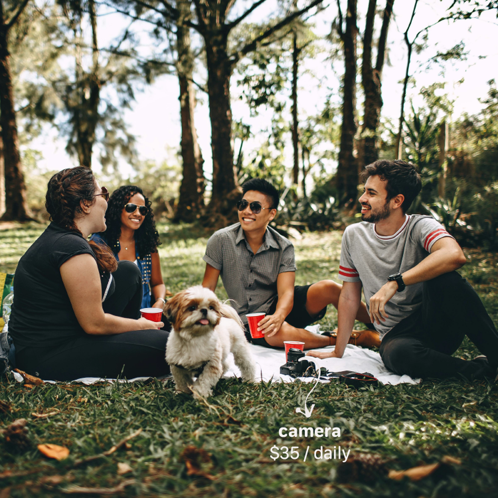 Picture of people chatting in a park