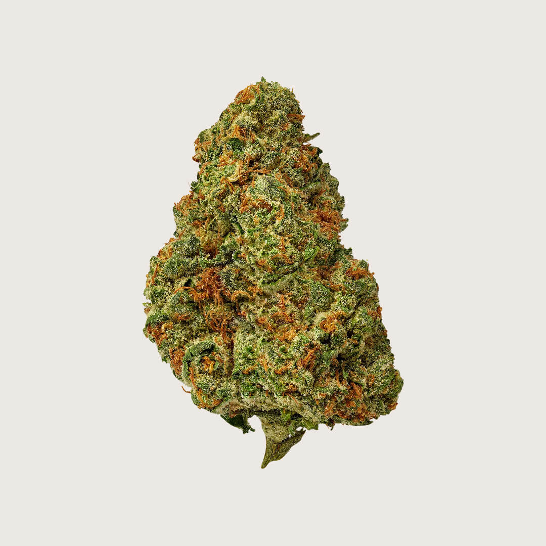 How Does CBD Support the Body?