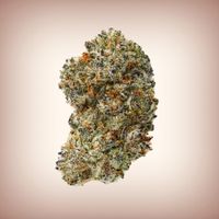 超激安 20%［1ml］OREOZ THXE その他