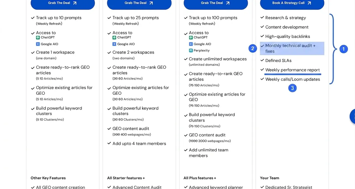 Annotated Scalenut VIP Service scope highlighting the managed deliverables, monthly technical audits and fixes, and weekly performance reporting