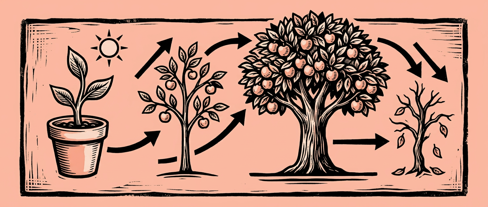 Product Life Cycle Explained + Examples | LivePlan