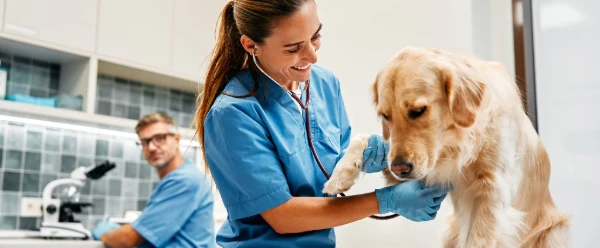 curso de gestion de clinicas y centros veterinarios en upc
