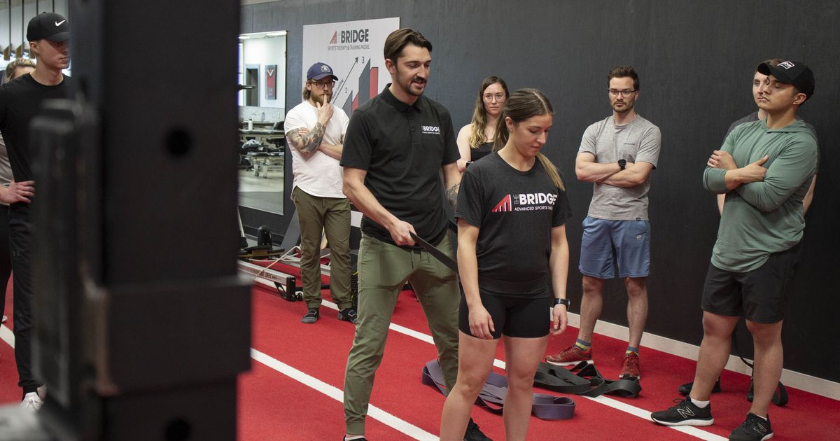 Bridge Pt Program Programs & Courses — The Bridge - Sports Therapy and Training