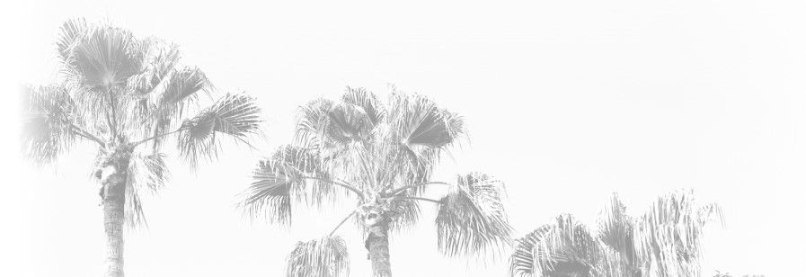 California themed palm trees