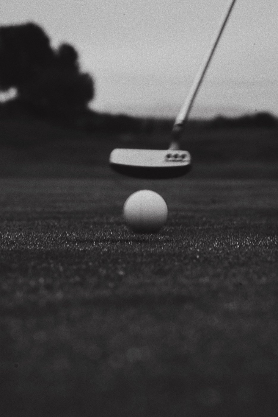 Putter resting behind a golf ball on a closely mown green