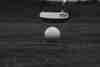 Putter resting behind a golf ball on a closely mown green