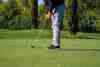Golfer putting on a tree-lined green
