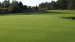 The variety found across German golf courses is noteworthy, featuring a range from expertly designed links style courses - such as WINSTONgolf - to equally impressive woodland, parkland, and heathland courses.