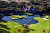 Leopard Creek Country Club, Malelane - the Crocodile River forms the boundary with Kruger National Park, and wildlife on the fairway is not unusual