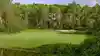 Disney's Oak Trail Golf Course in Orlando is an enjoyable 9 hole walking course with exciting challenges, rolling greens, and active wildlife.