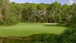 Disney's Oak Trail Golf Course in Orlando is an enjoyable 9 hole walking course with exciting challenges, rolling greens, and active wildlife.