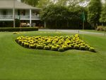 Augusta National Golf Club is one of the world's most exclusive golf clubs and home to the Masters Tournament, a place of history, tradition and green jack.