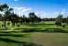 Royal Malta Golf Club, Marsa - established parkland fairways lined with mature trees at one of Europe's oldest and most characterful golf clubs