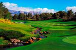 Shadow Creek course offers lush vegetation and desert environment