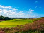On the shore edge of Peconic Bay at Southampton on Long Island is the National Golf Links of America. “I will not describe that delightful spot again.