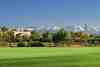 Samanah Golf Club, Marrakech - wide olive-lined fairways at Samanah, a Jack Nicklaus Signature design