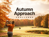 Master Your Autumn Approach Game.