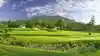 Outeniqua is an 18-hole Parkland course designed by Gary Player, with a par of 72, and is more forgiving than Montagu. It is a classic parkland course.