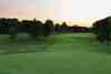 Parkland green framed by mature trees in soft golden light