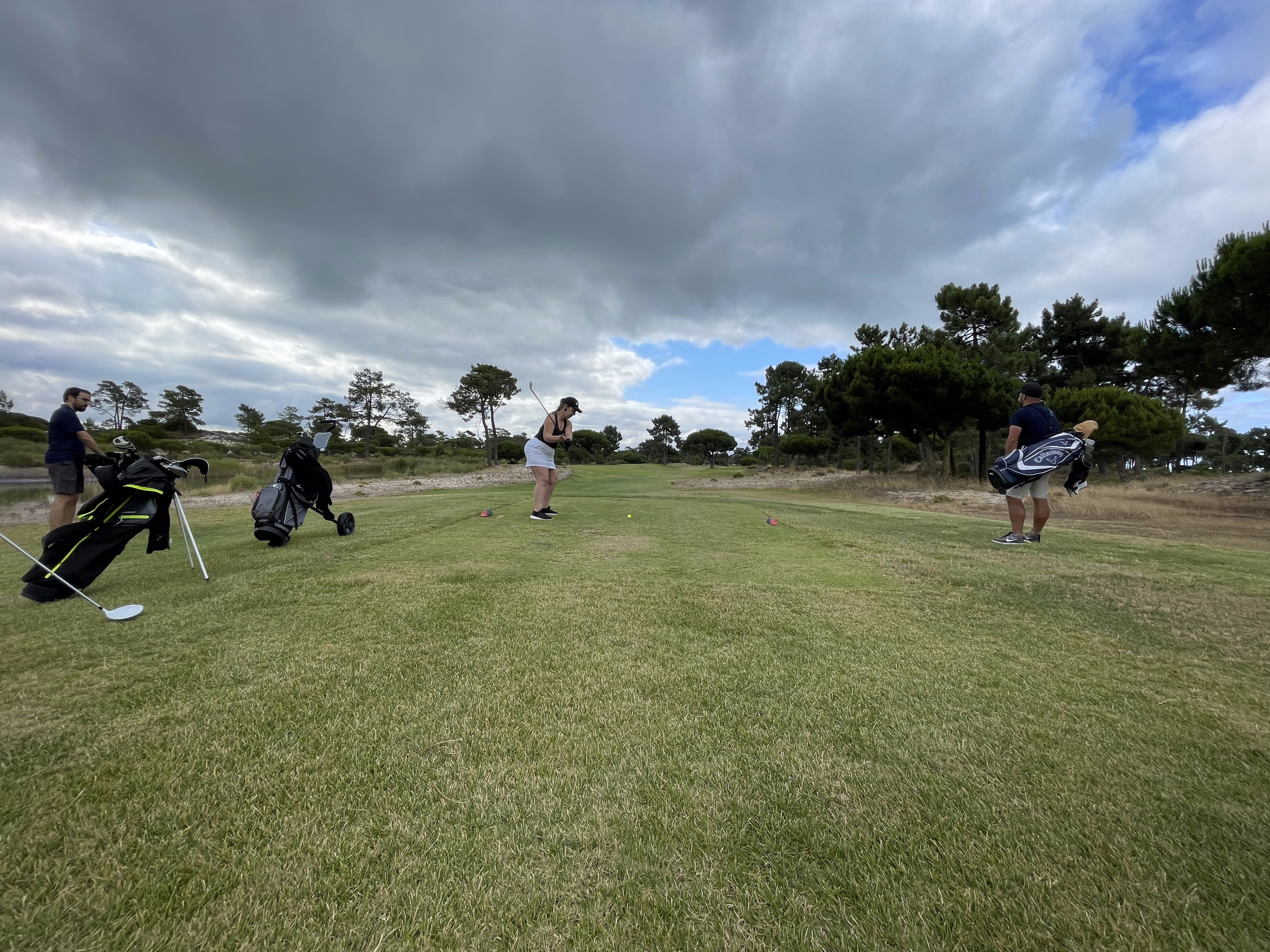 Group of golfers playing a pine-lined parkland course (courses)