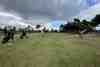 Group of golfers playing a pine-lined parkland course (courses)