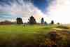 Heathland golf hole evoking Royal Worlington & Newmarket in England