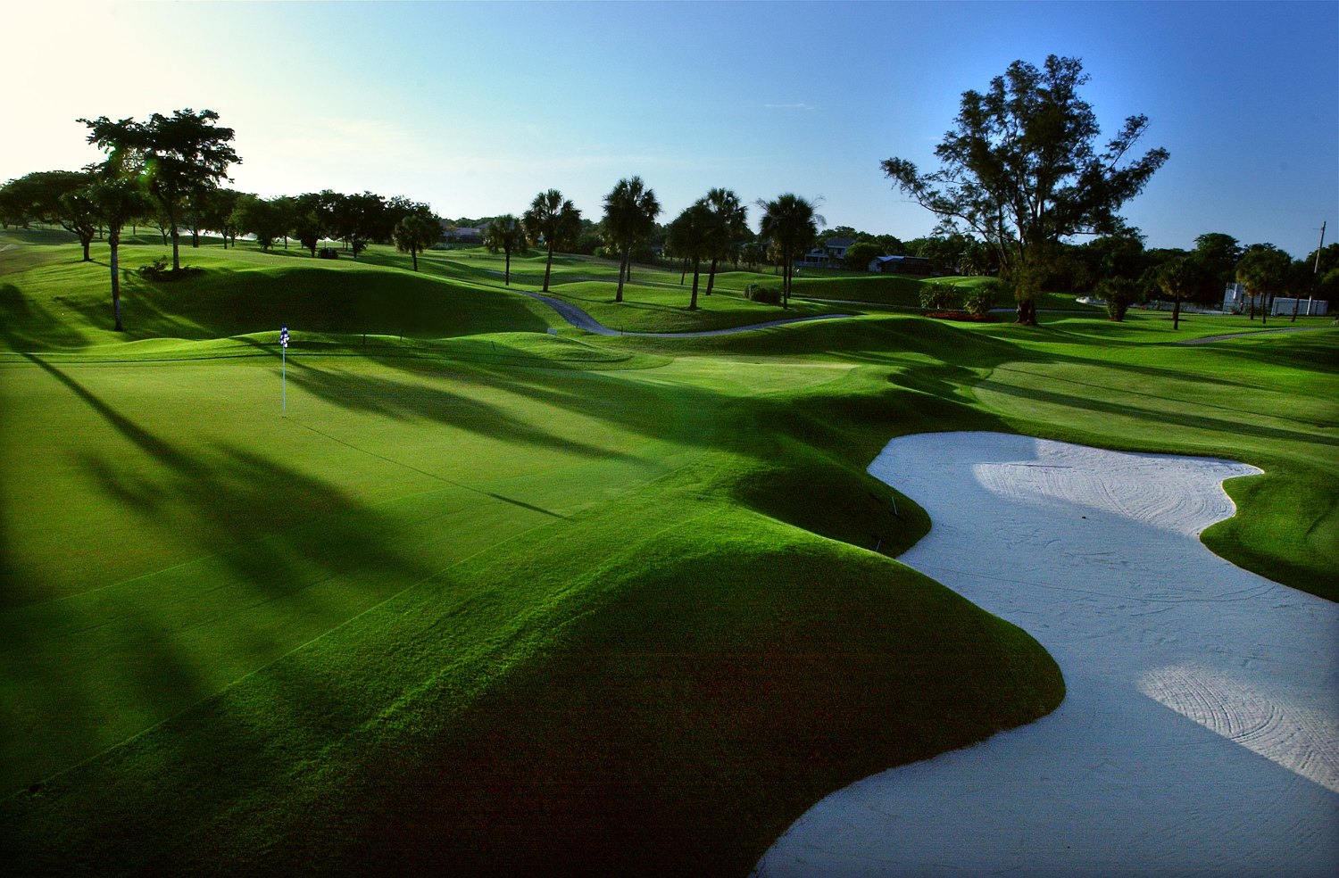 Contoured fairway with white sand bunkers in golden evening light