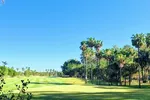Sanctuary Cove Golf & Country Club (Palms) is an 18-hole championship golf course in Queensland, Australia, known for its challenging design featuring undulating fairways, bunkers, water hazards, and mature Cabbage Palms.