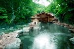 Traditional Onsen (hot spring).