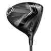 Cobra DS-ADAPT MAX-K driver head at address