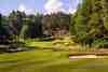 Sunningdale golf club