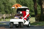 Christmas golf at coastal United States golf course with mild winter weather.