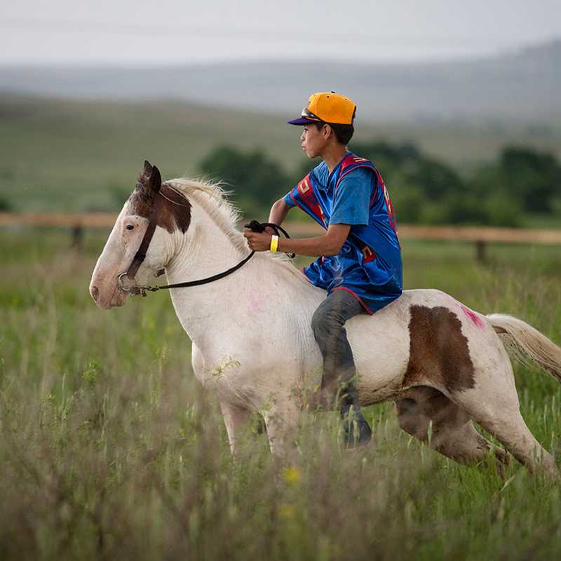 Rider in a yellow helmet on horseback in a Montana countryside field with rolling hills in the background