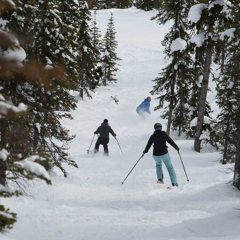 Two people cross-country skiing through a snowy pine forest trail in Montana