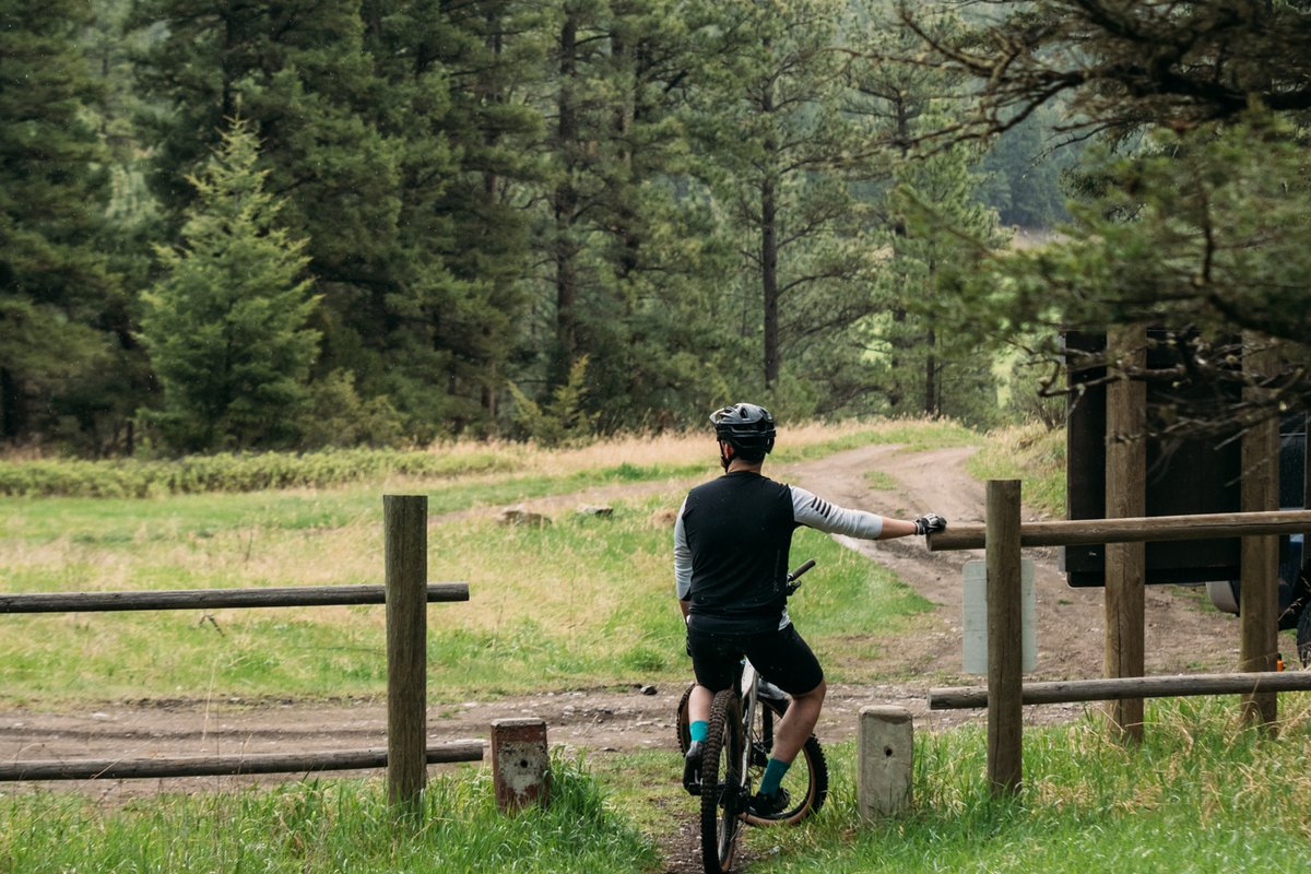 Cyclist riding a bike along a rural path through a forest with mountains in the distance