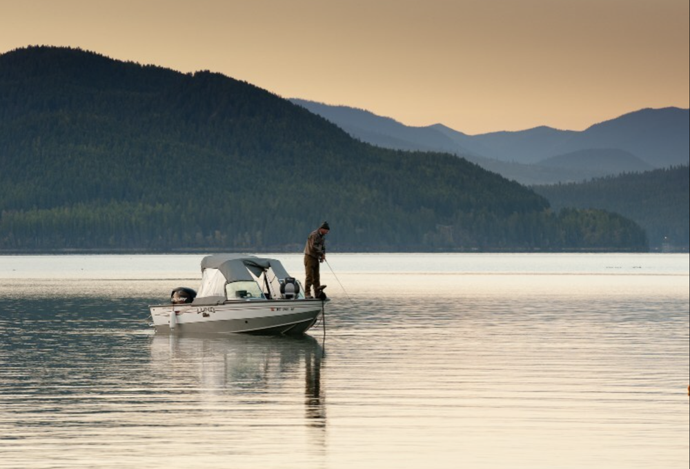 Montana Is a Fishing Paradise: Fall Flies and Top Waterbodies To Explore Around the State