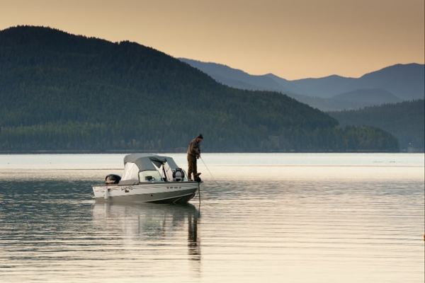 Montana Is a Fishing Paradise: Fall Flies and Top Waterbodies To Explore Around the State