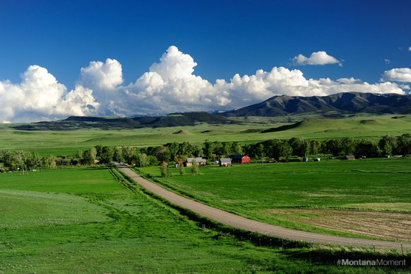 Martinsdale, Montana